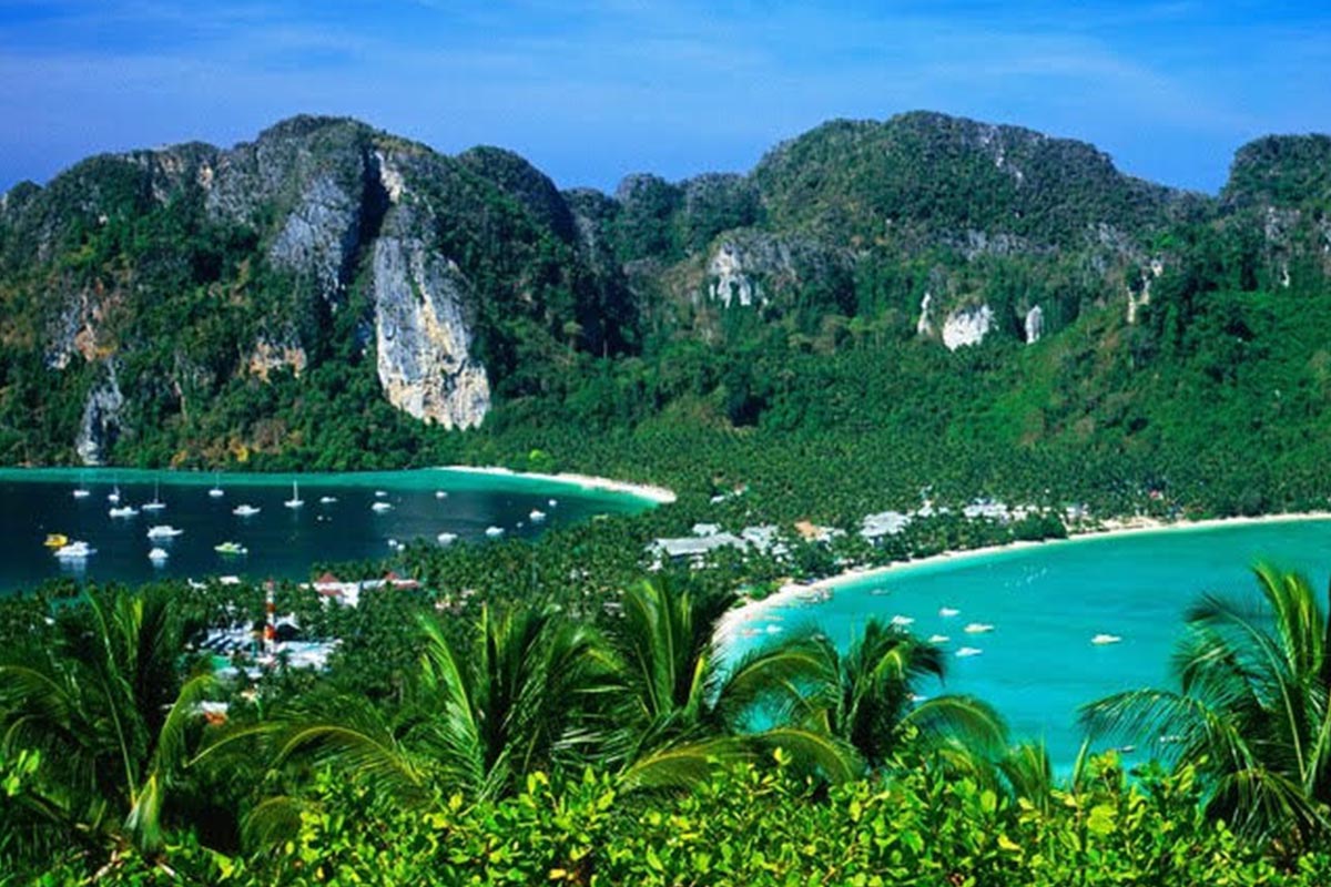 Discover phuket Koh Phi Phi tour